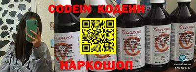 гашик Шелехов