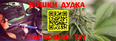 гашик Шелехов