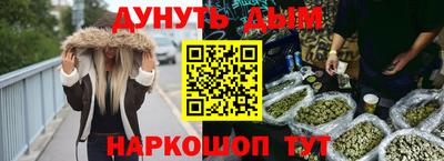 гашик Шелехов
