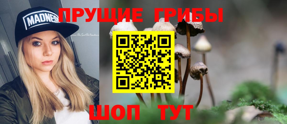 Галлюциногенные грибы Psilocybine cubensis  Вход с VPN  Белореченск 