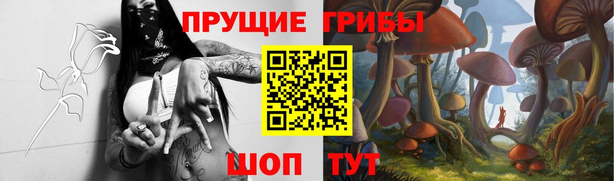 Псилоцибиновые грибы Cubensis Белореченск